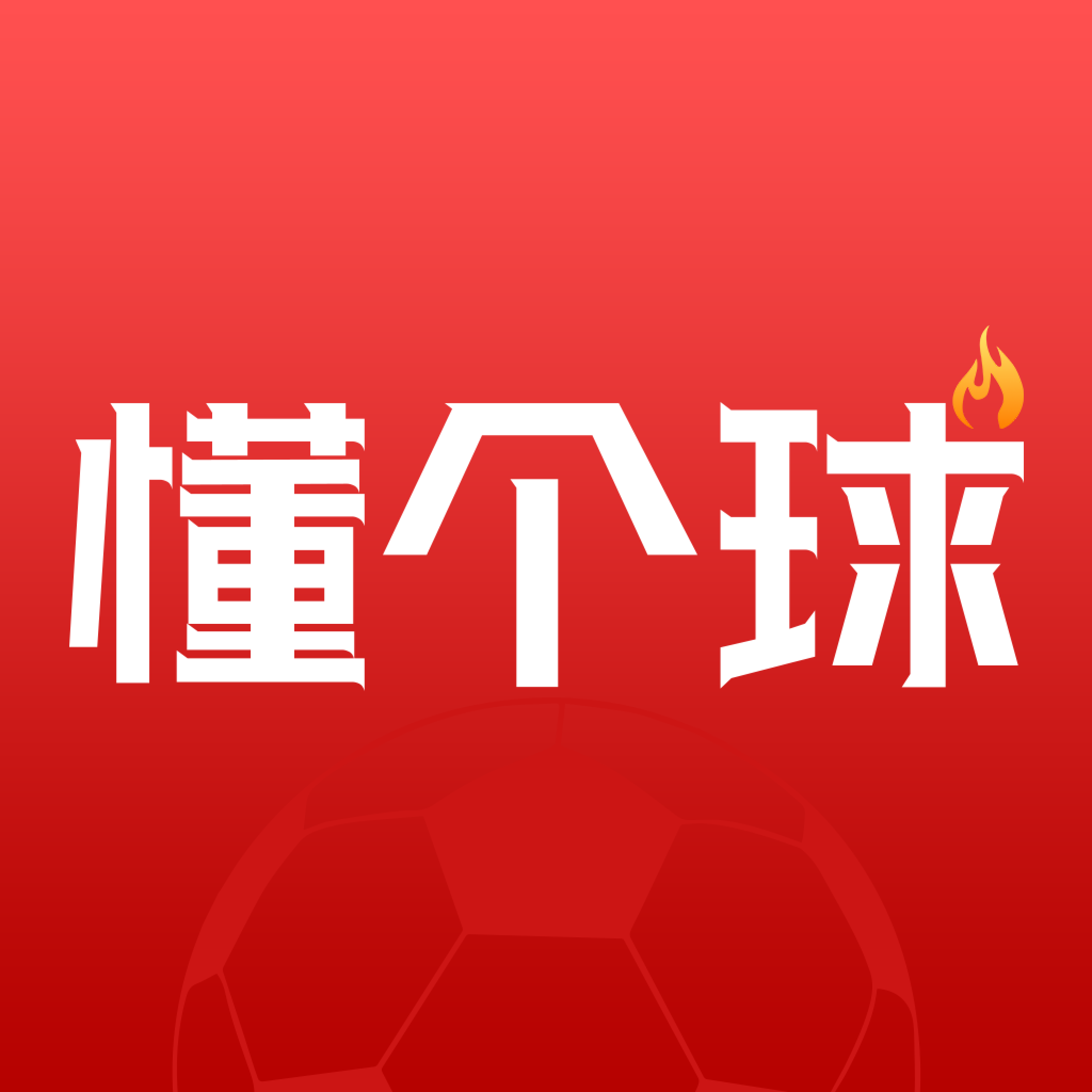 懂个球app