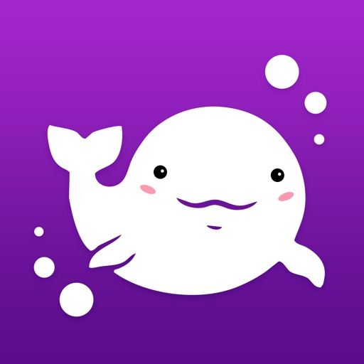 江小豚app
